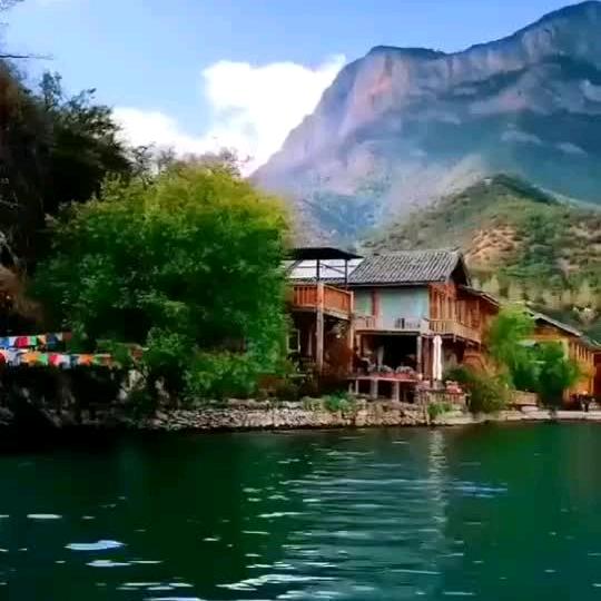 🐕知足常乐🐯