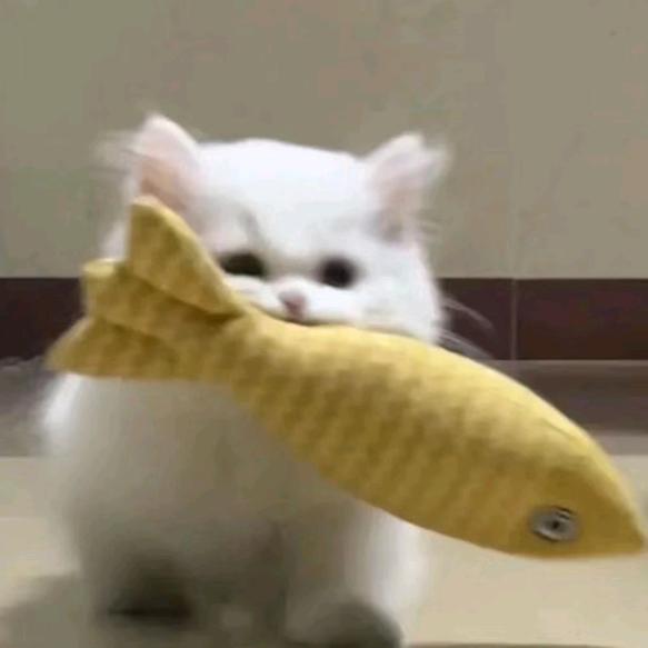 筱筱