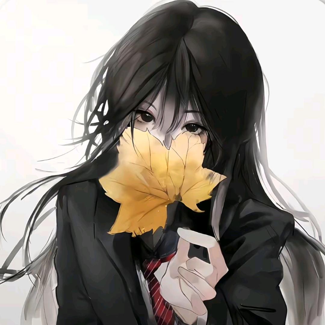 尧尧🐰
