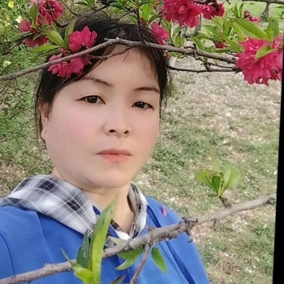 🍃🌾四叶草🍀🌺