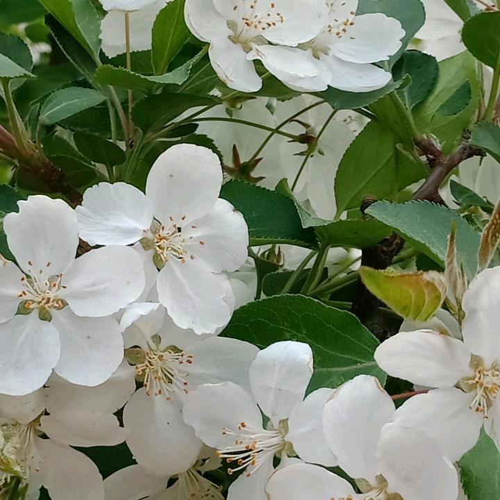 用户春暖花开