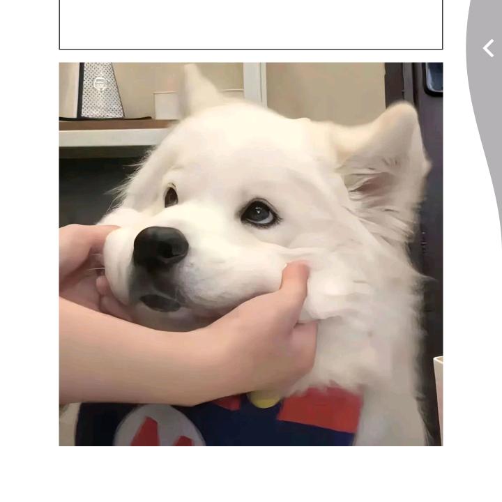 静静就是我吖