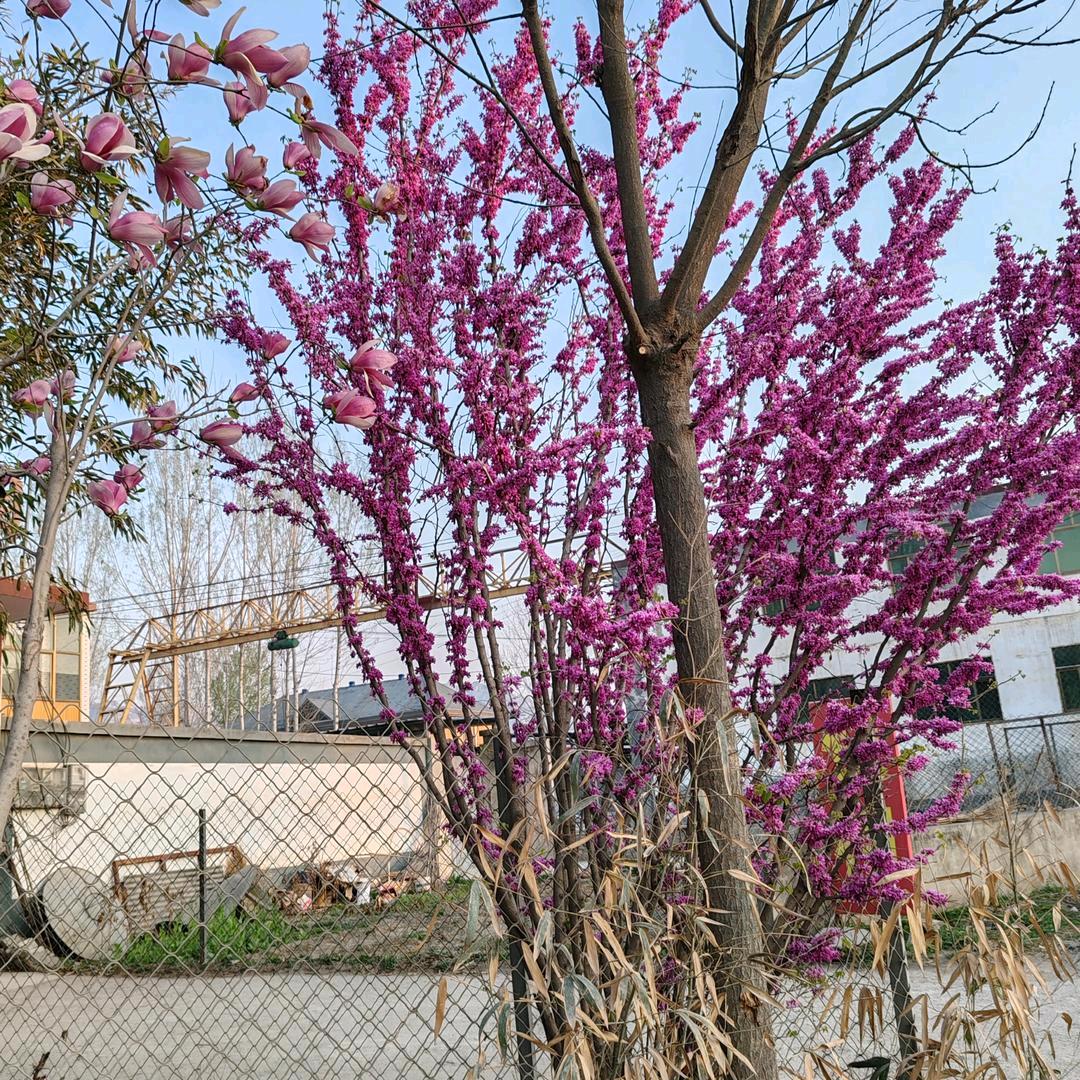 💞越来越好🌹