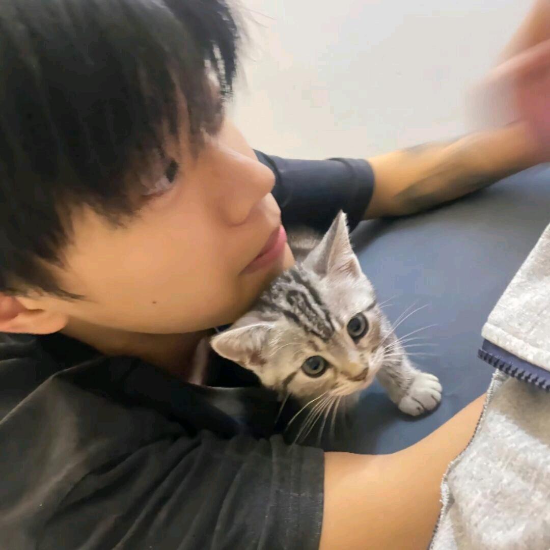 sh恩恩