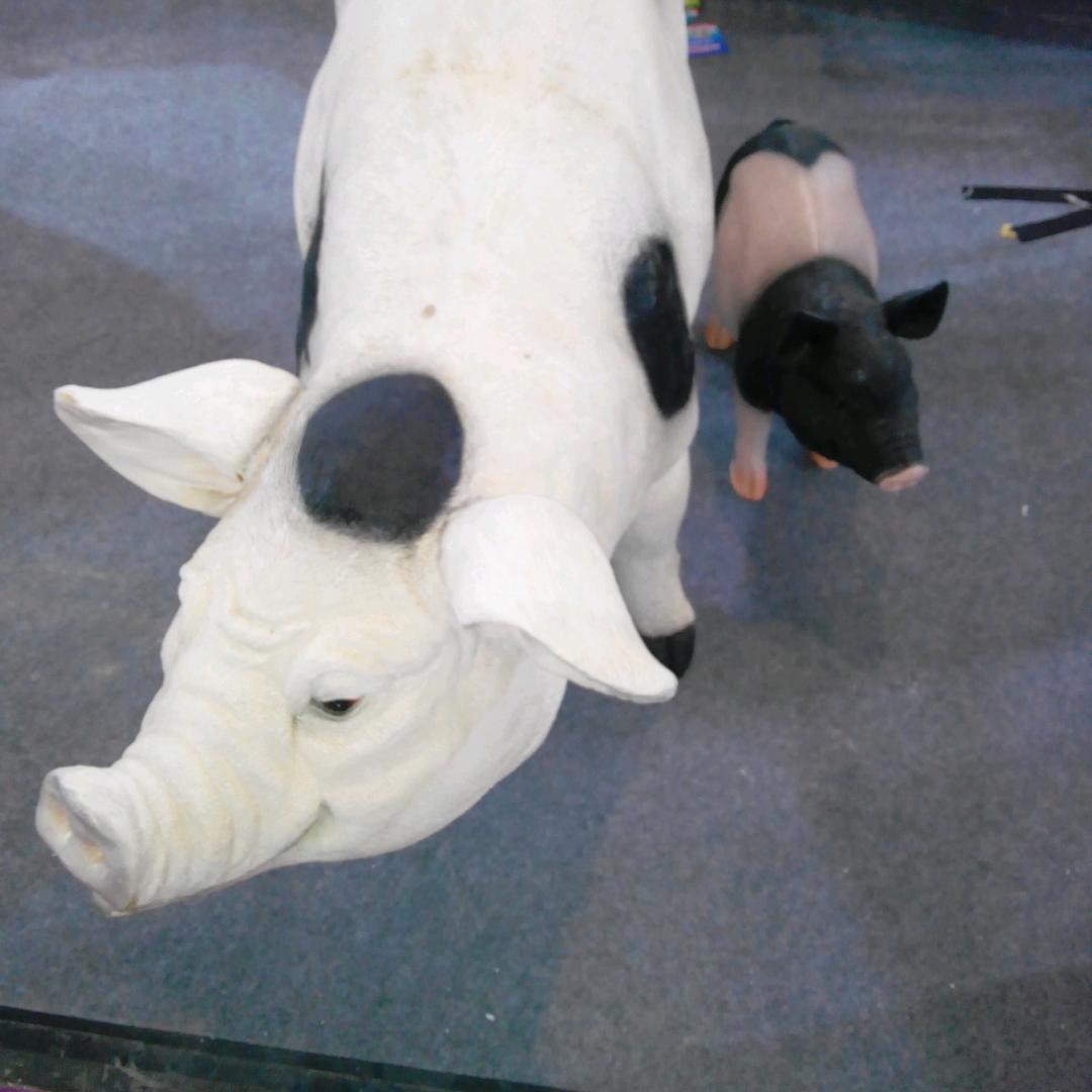 我是那个谁谁谁