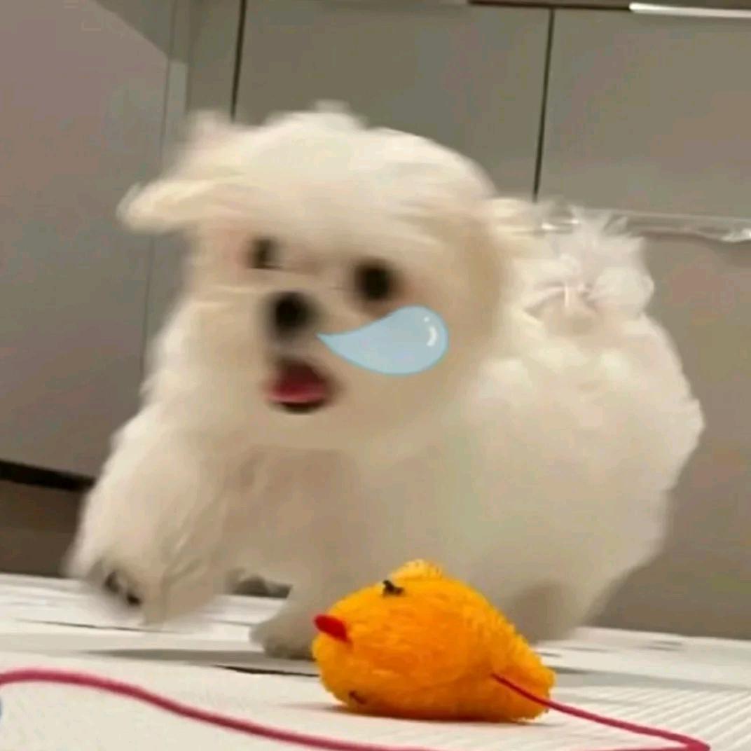 白开柚子