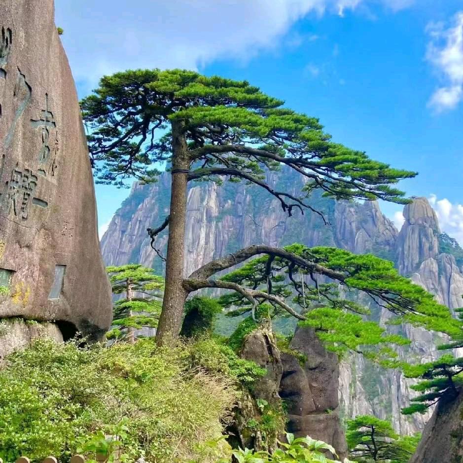 🐐奔🐑跑🐐在🐑路🐐上🐑