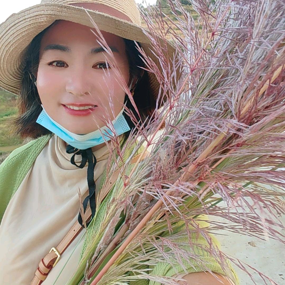 云南（口粮）七姐