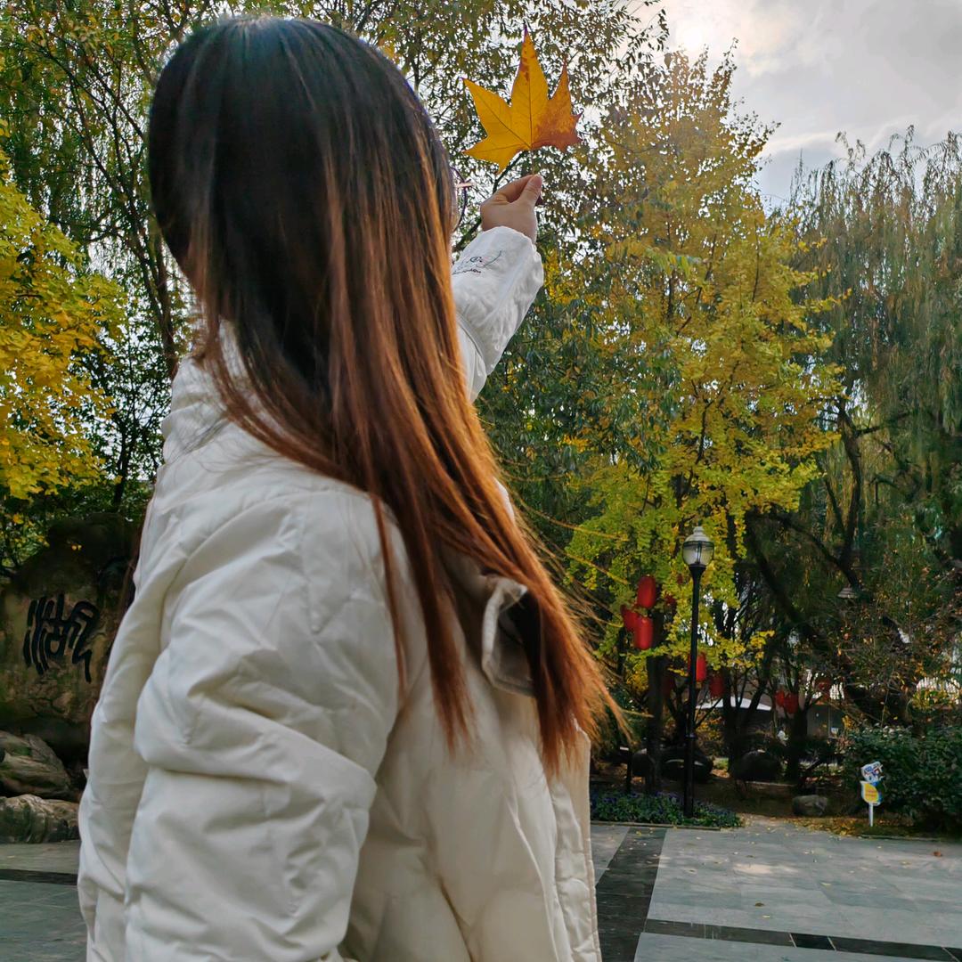 灿烂的吃藕菇凉