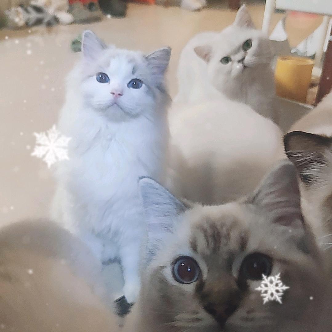 田园宝好物分享