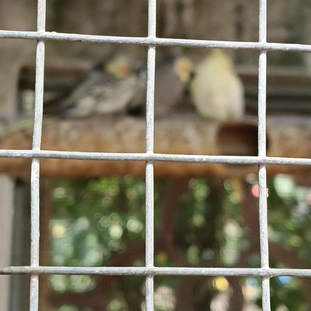 情有可原