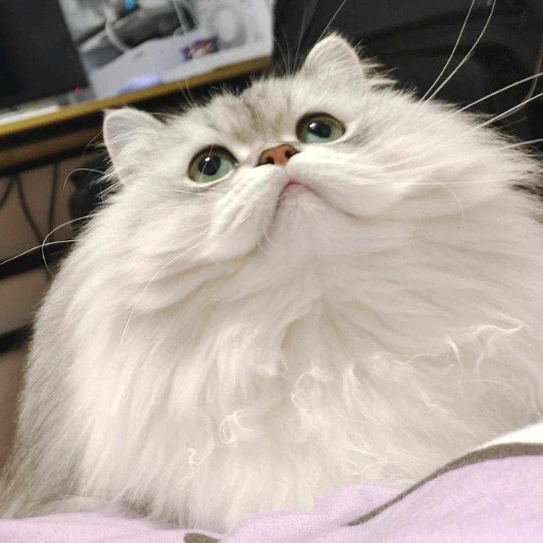 上山打老虎阿