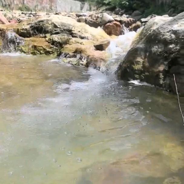 大自然的声音