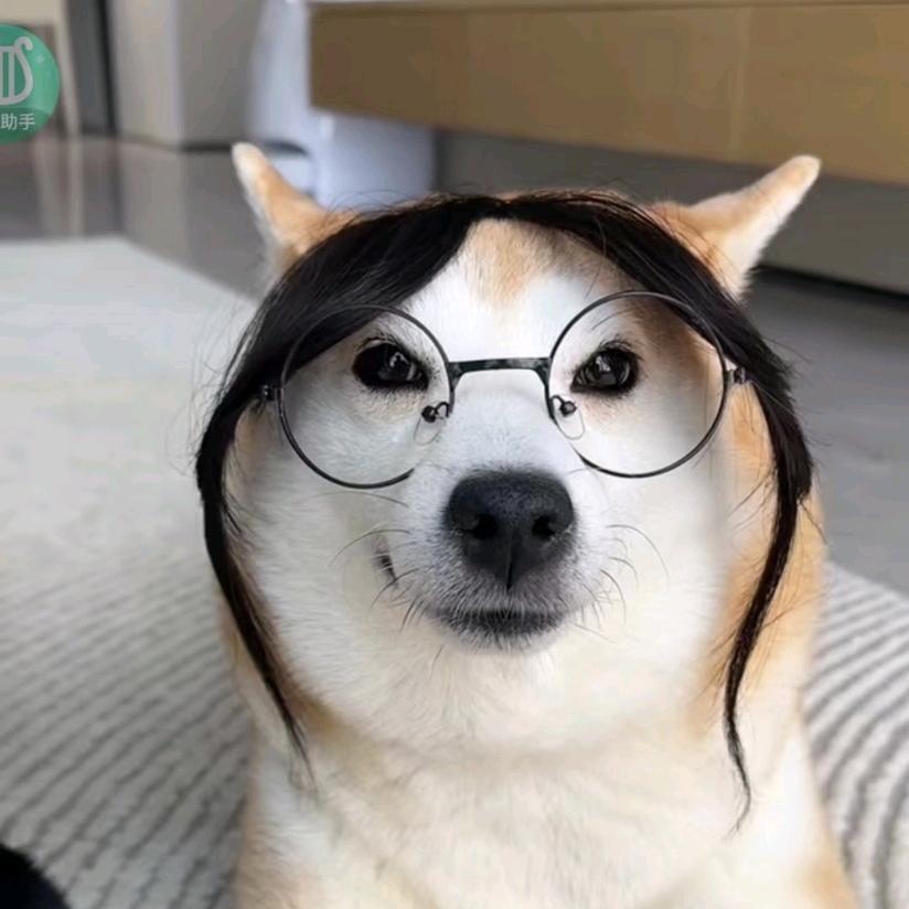 AAA-老鼠三日成晶🐭