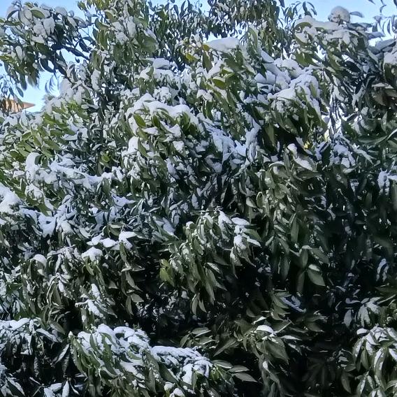 (ꐦÒ‸Ó)你个老六