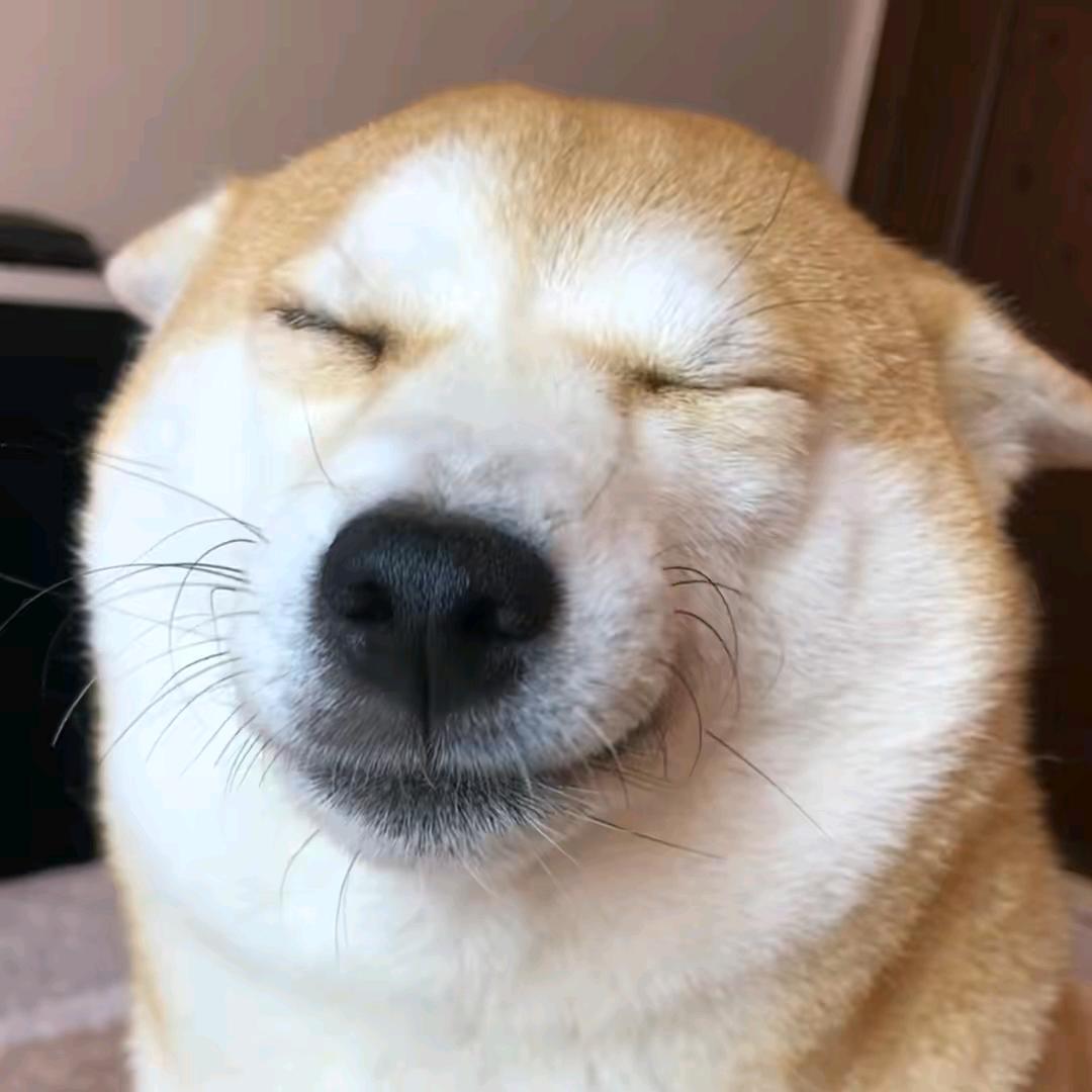 2k威廉