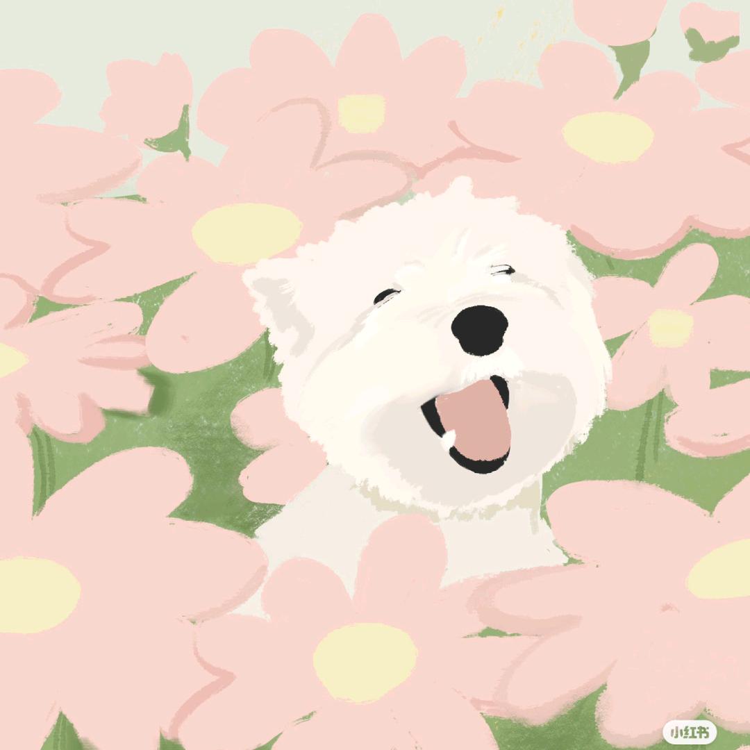 鱼鱼_