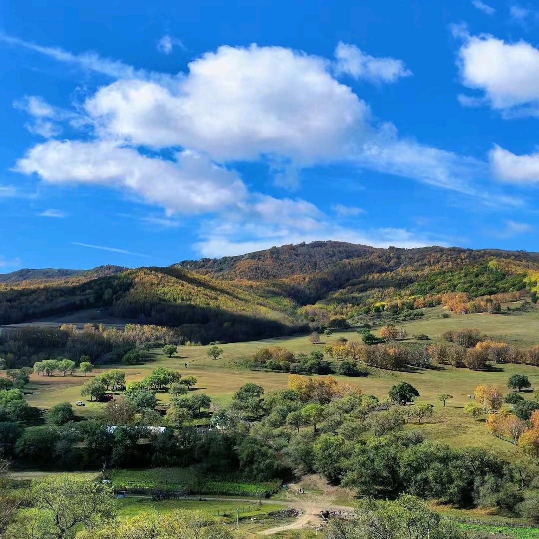 贵阳公办学校陈主任