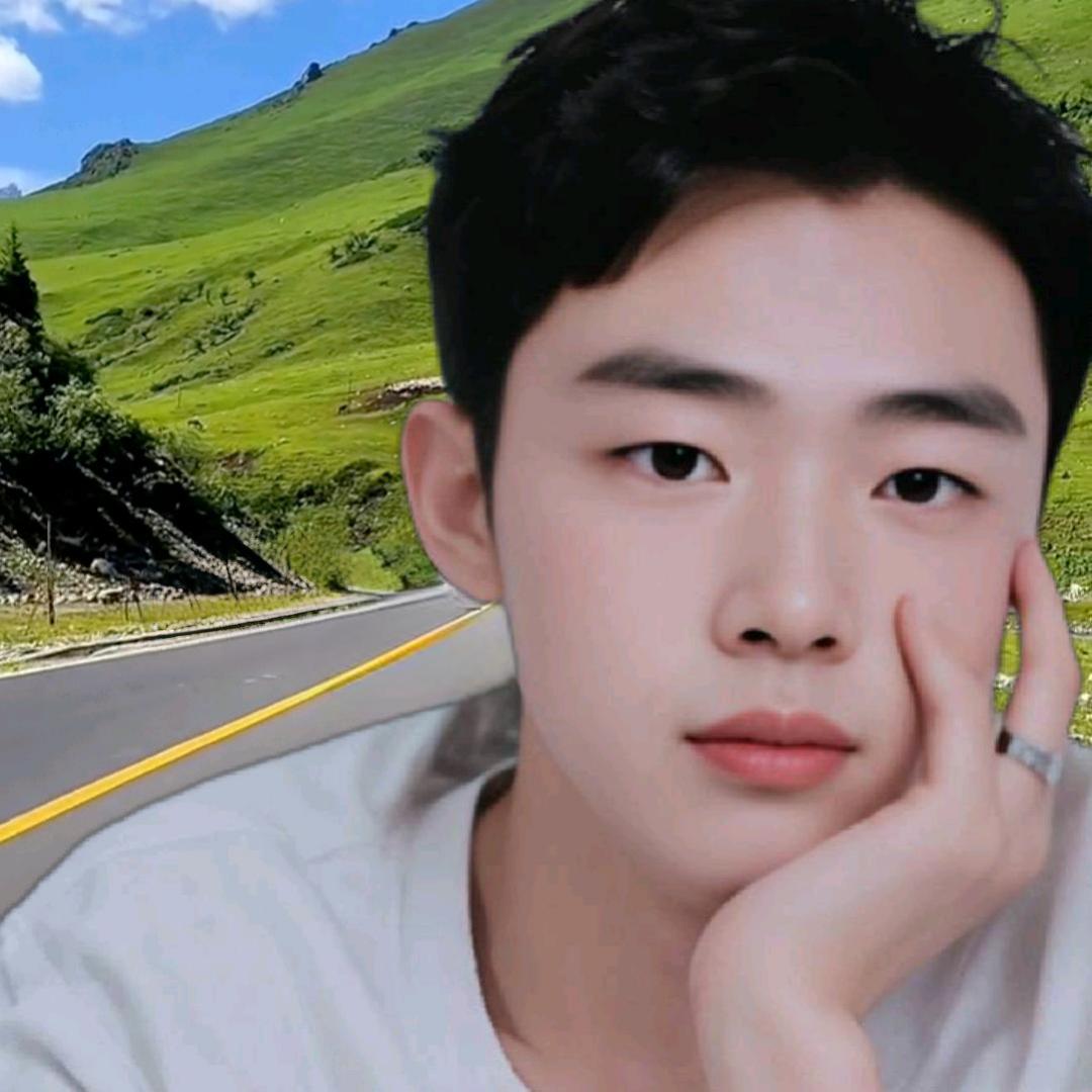 新疆生物质颗粒