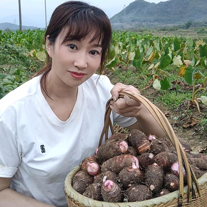 湘北小妹