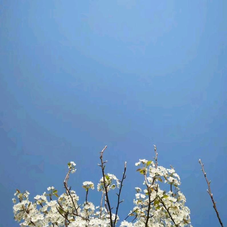 丁一