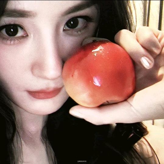 梦到哪句说哪句