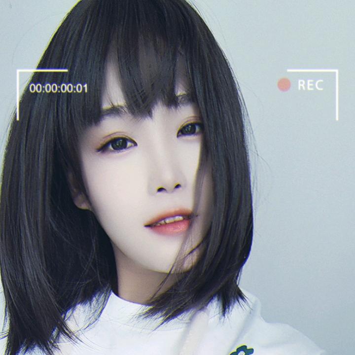 董礼