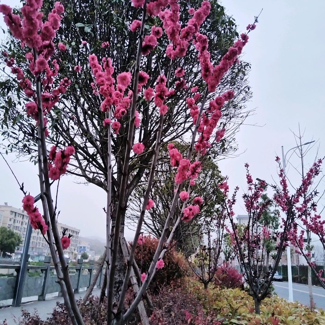 此生有你