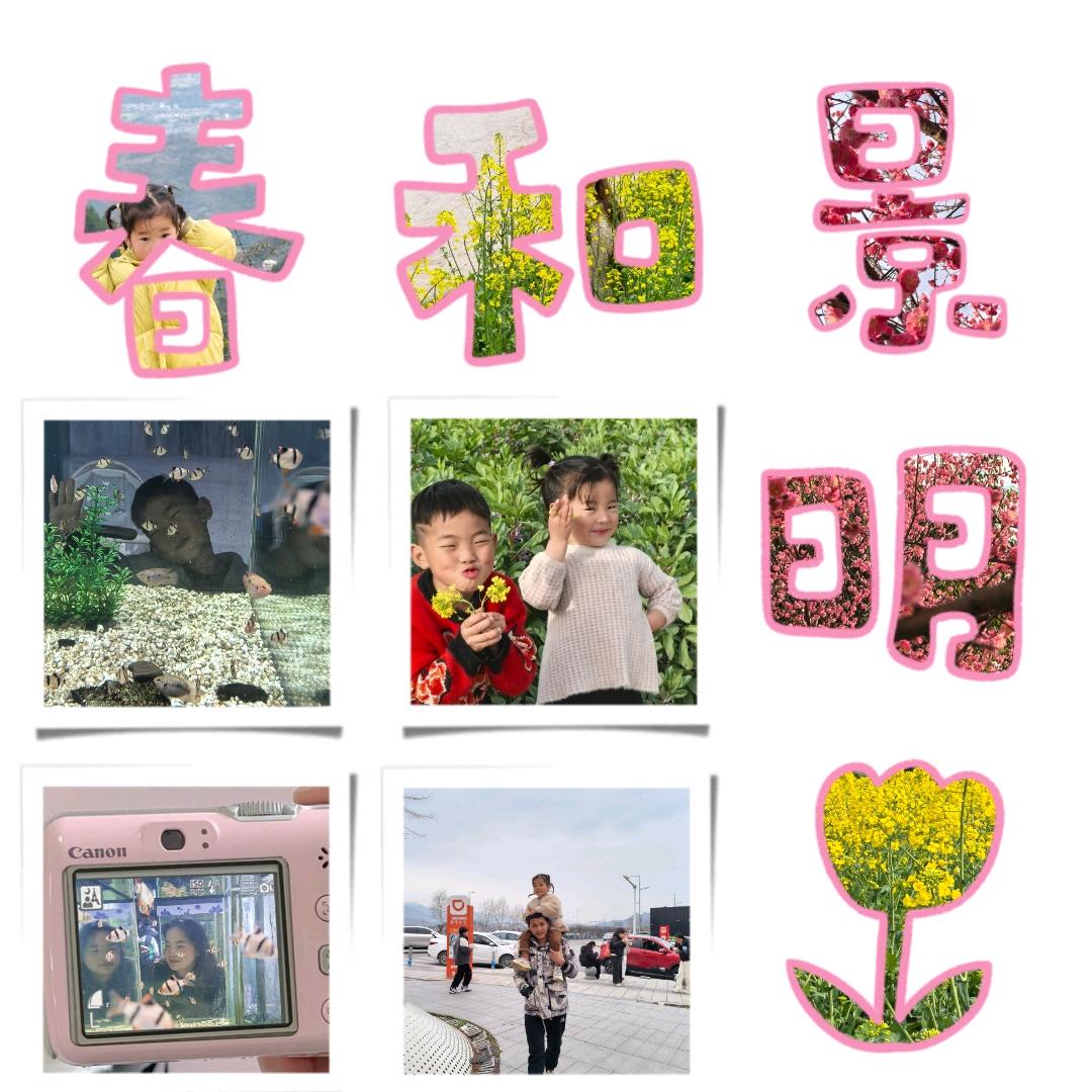 筱筱的玩具🥰