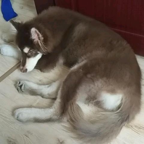 随风而逝梦空城