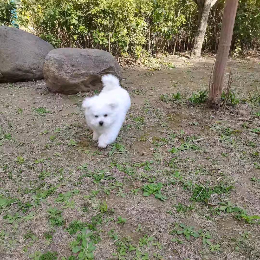 丁丁关爱流浪猫