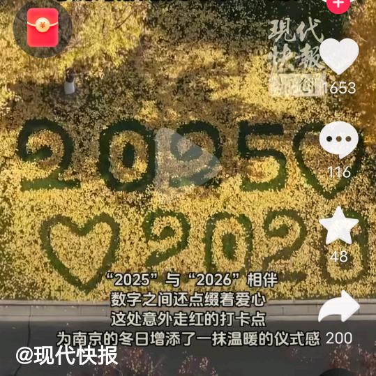 今生有辛遇见你