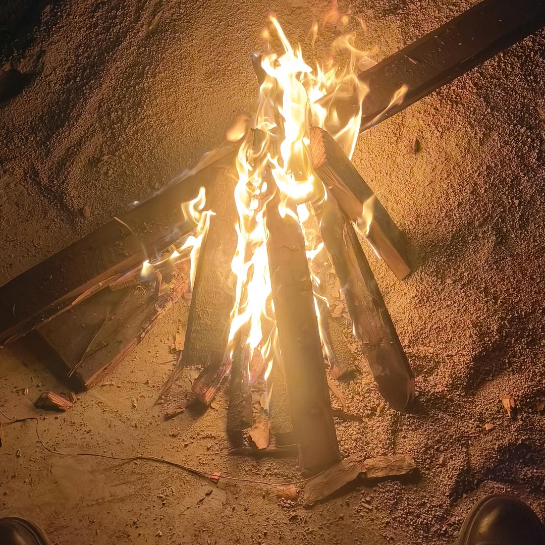 星星✨藏进星夜