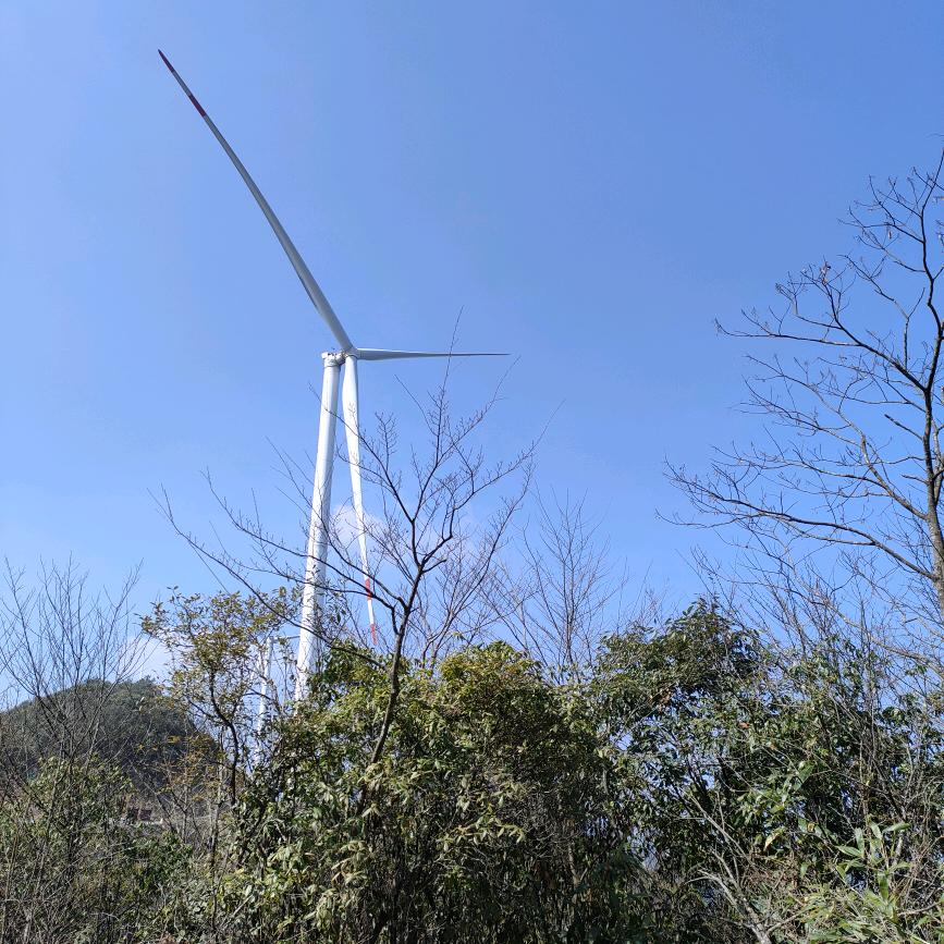@四姐爱生活
