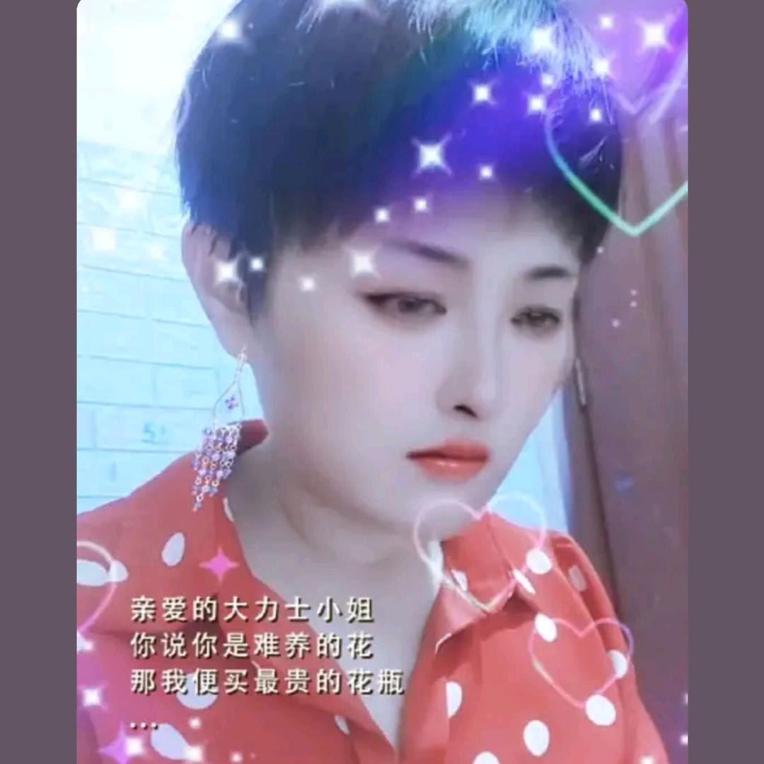 ………………