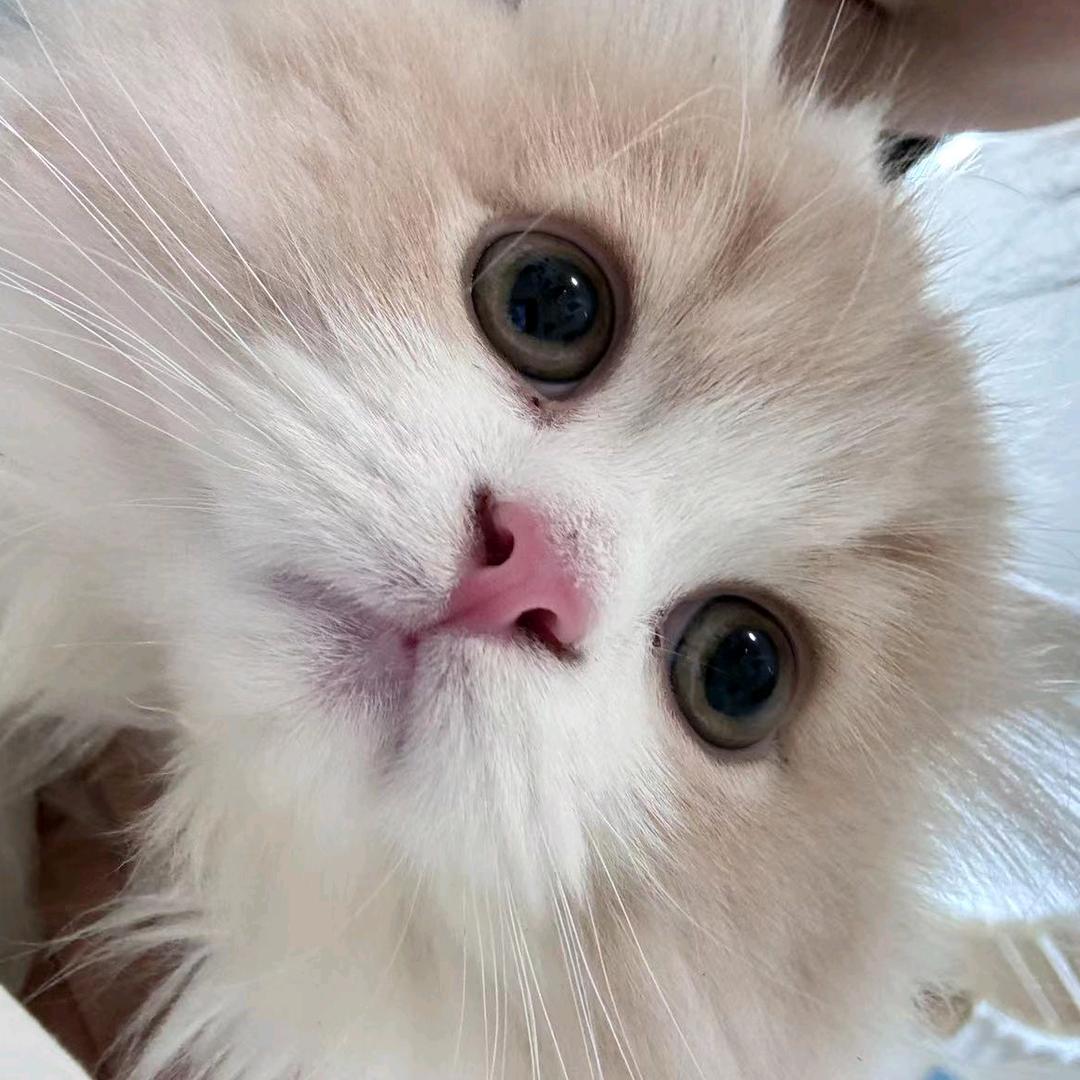 书荒