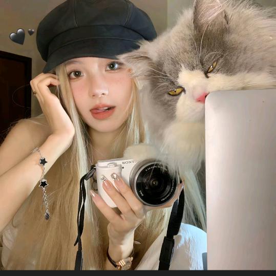 爱拉不拉岛首富