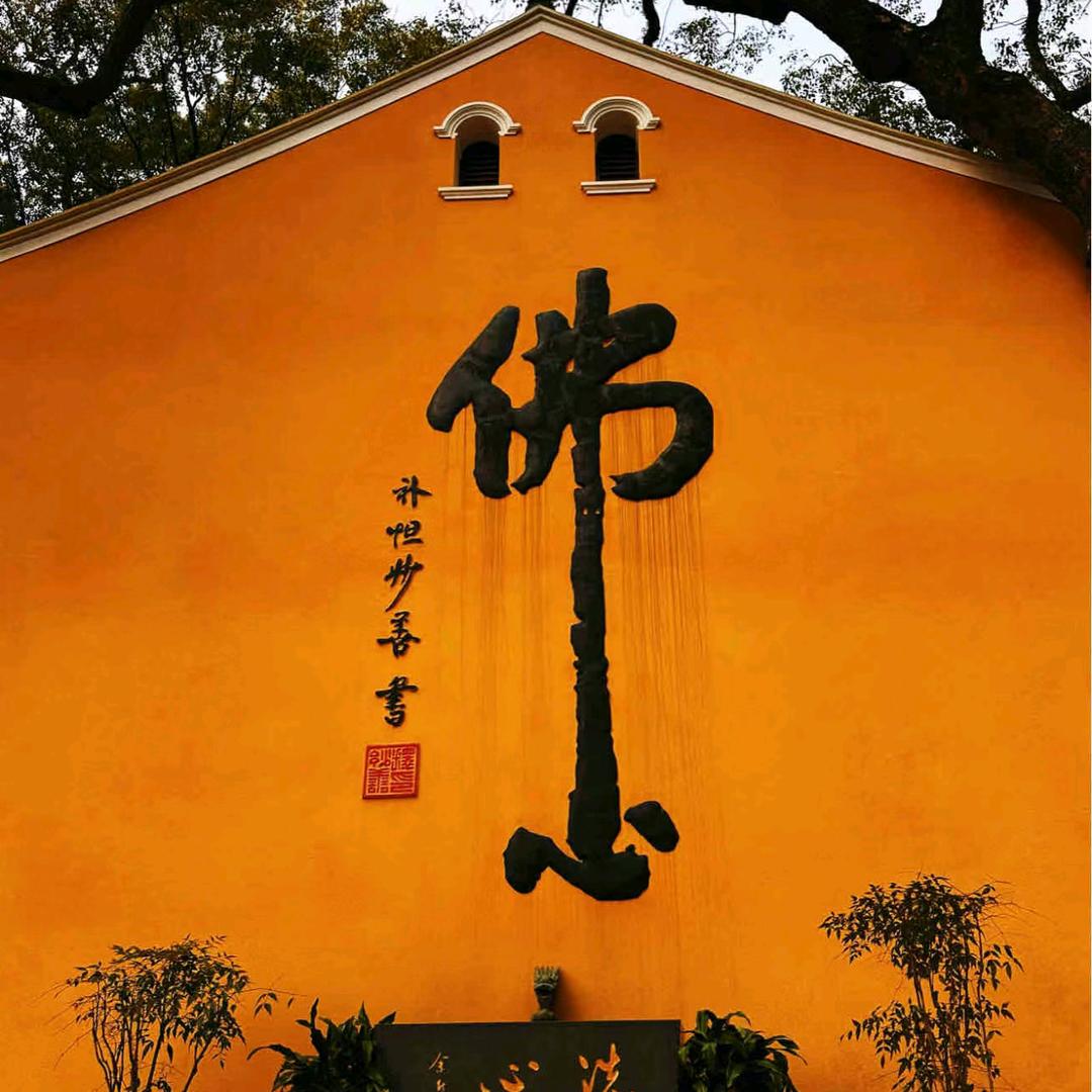真的曾曾吖