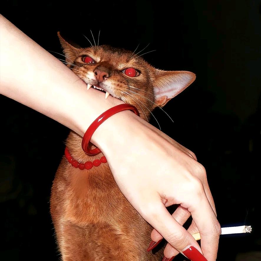 任何挫折都是擦伤