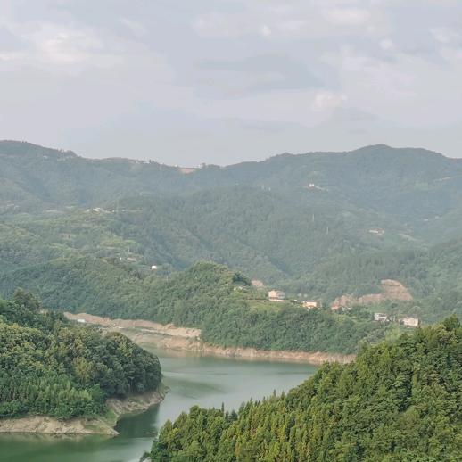 龙仔
