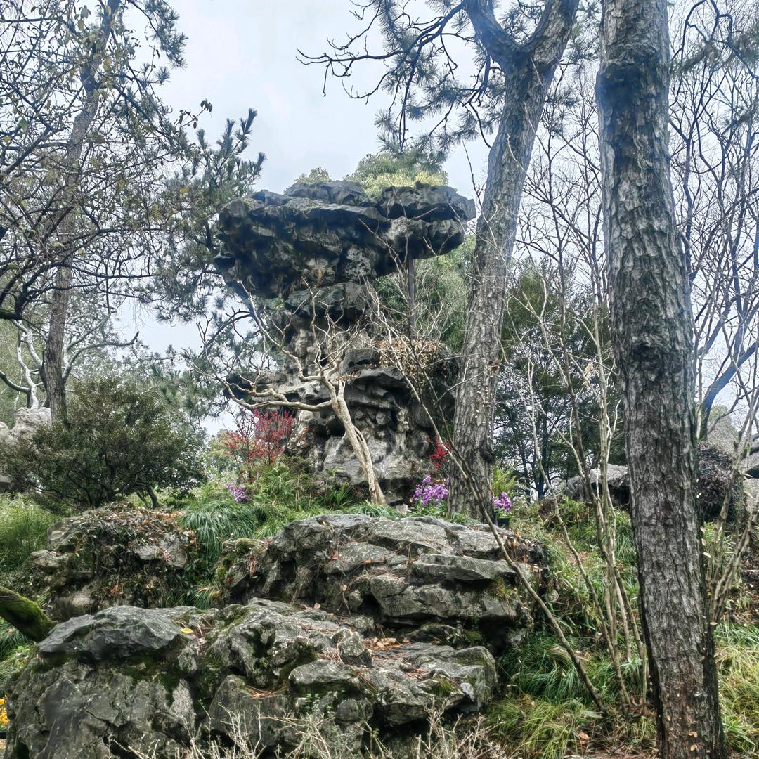 孫    光