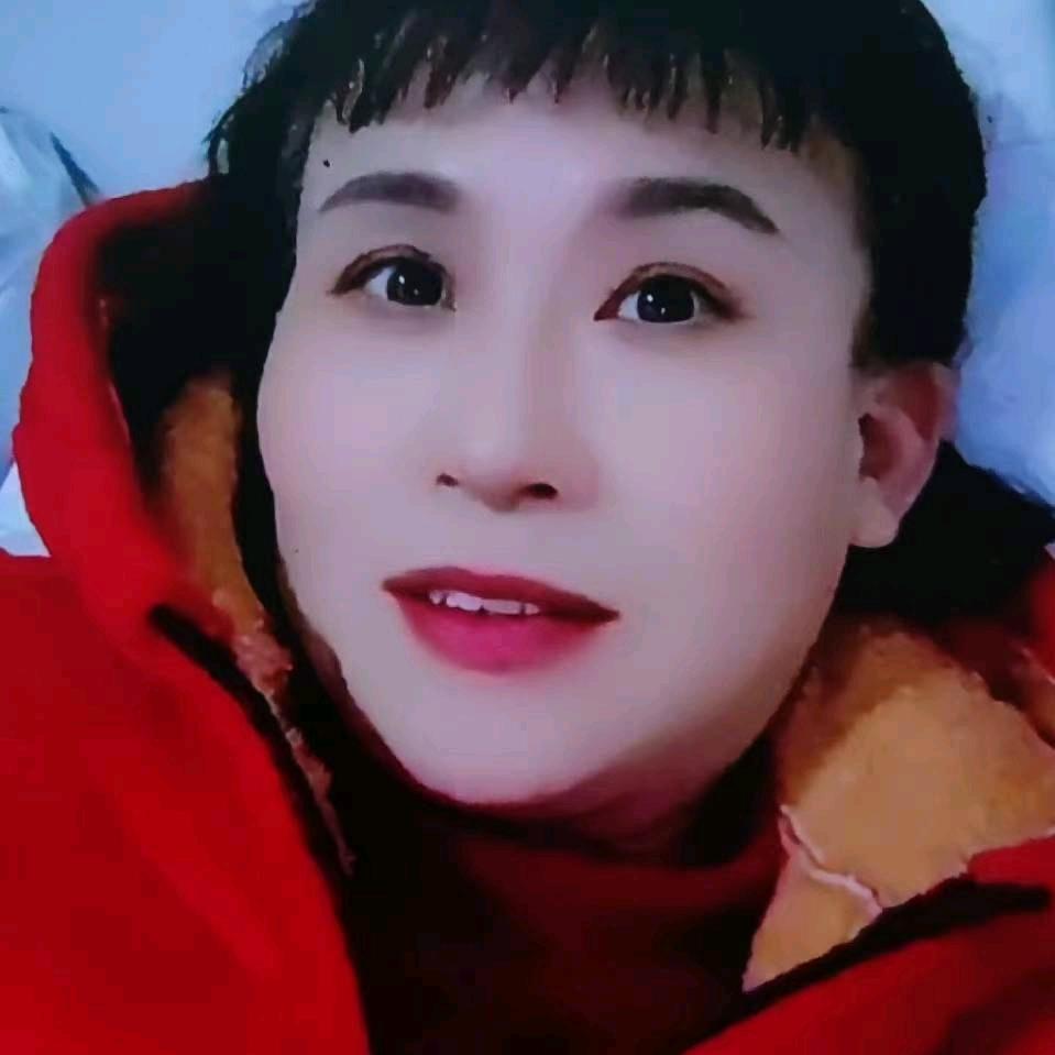 网络英文子歌