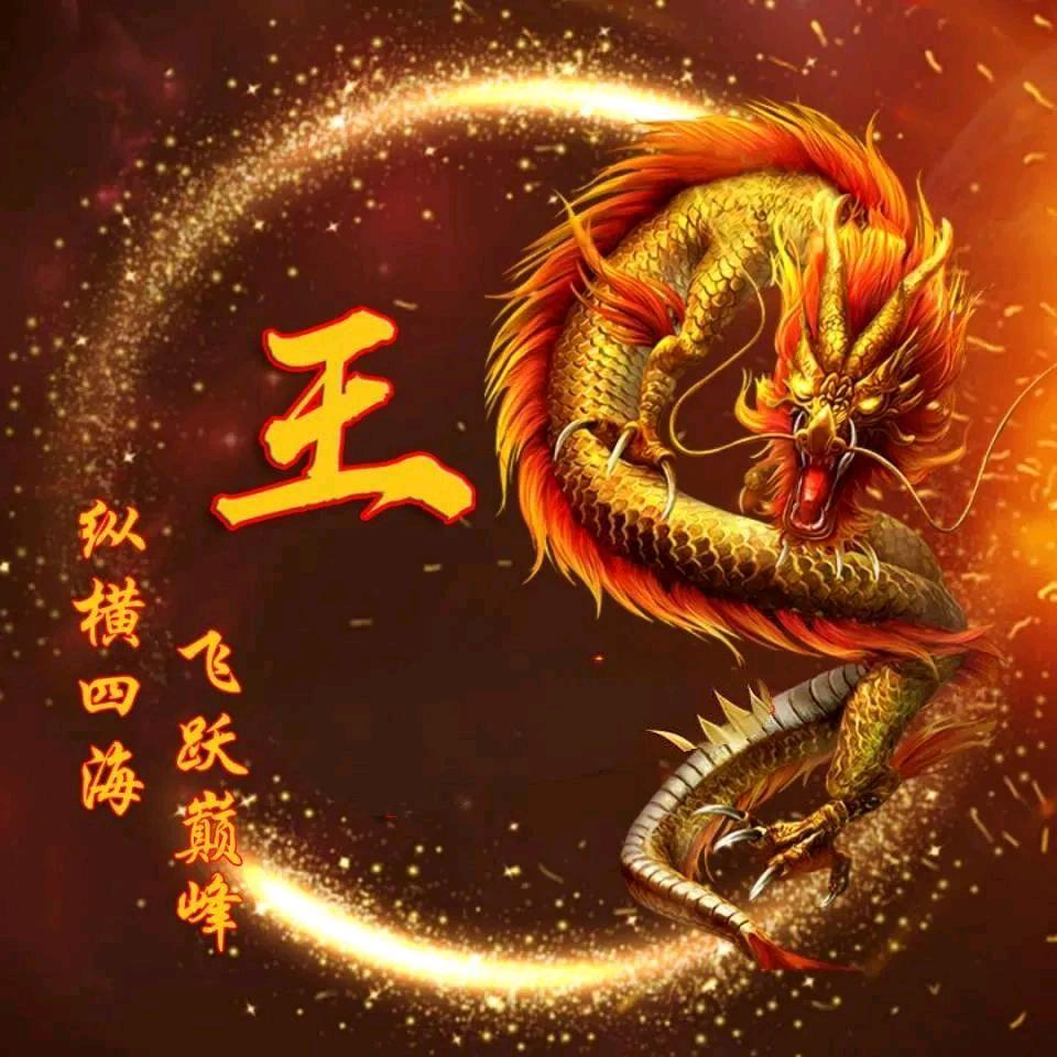🇨🇳王龙