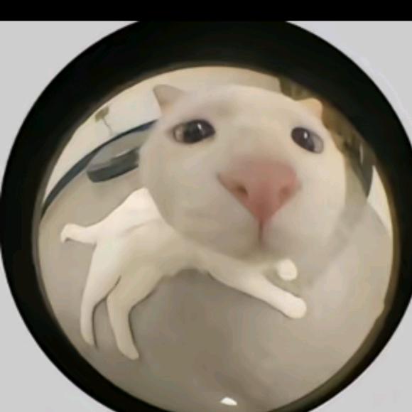 𝙂𝙨𝙞𝙡𝙫𝙚𝙧