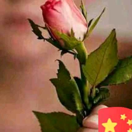 心雨（拒私聊）