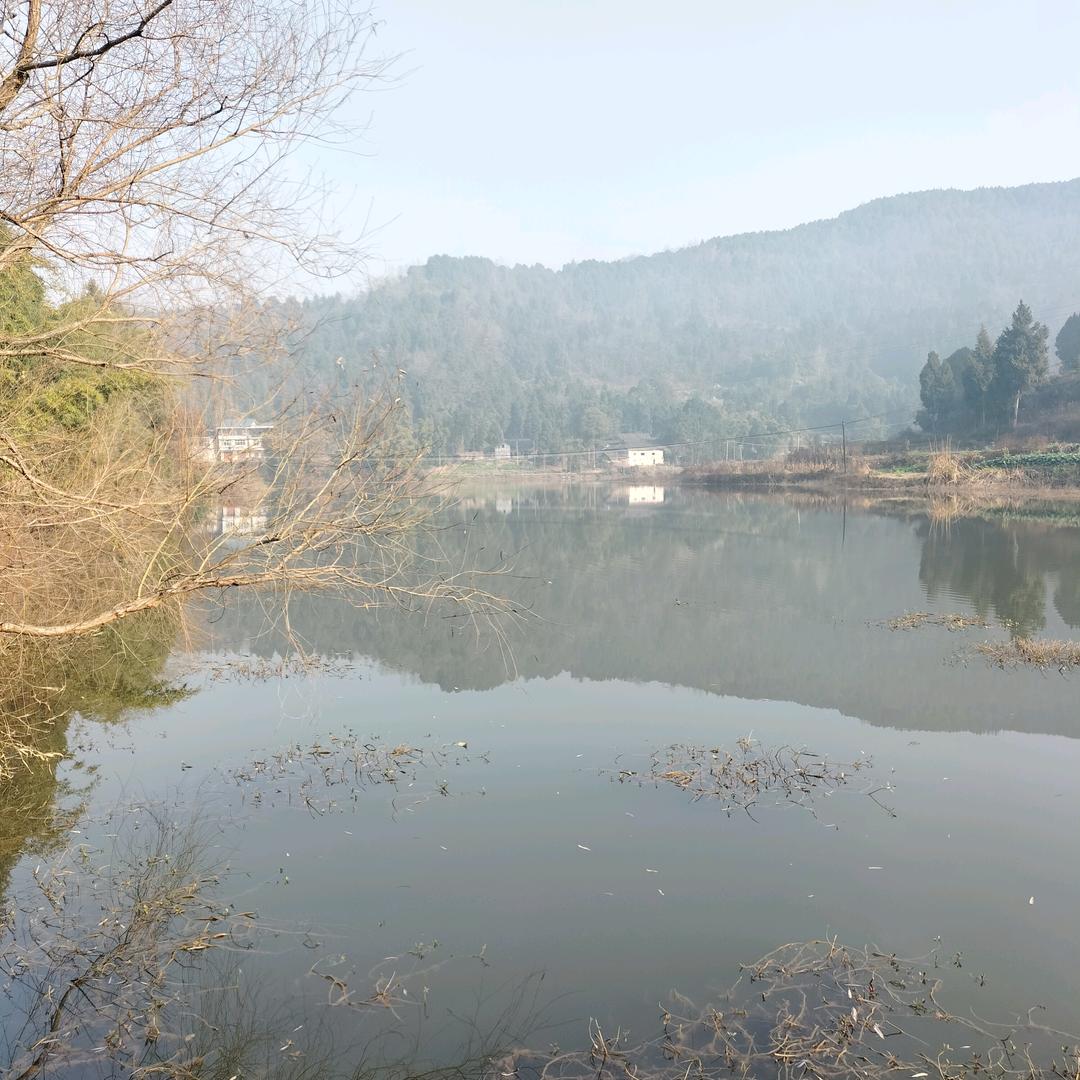 平凡是福