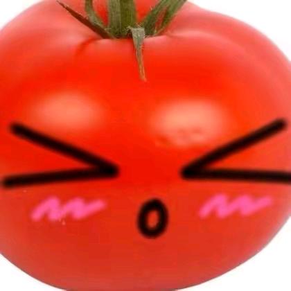 番茄炒蛋