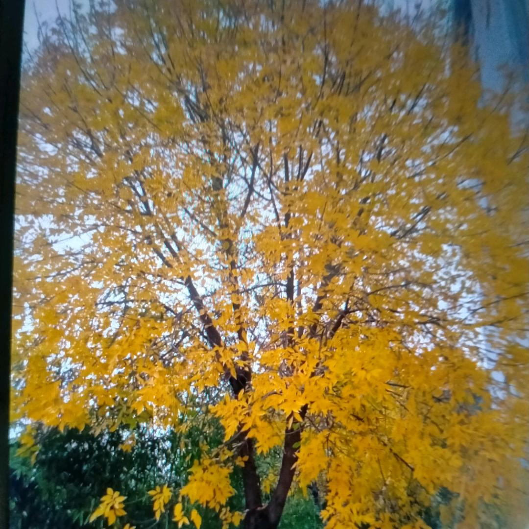 人生如梦🌾🌴🌵