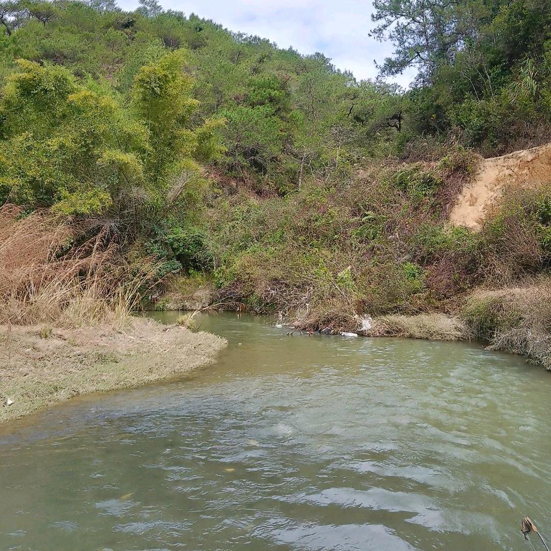 存在