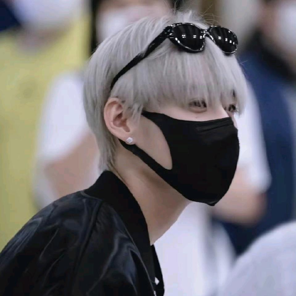 胡图图的小怪猫